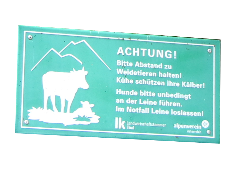 Nu we er toch zijn meteen maar even een klein stukje Tauerntal Wanderweg richting het Gschlößtal doen. Pas op voor de koeien!