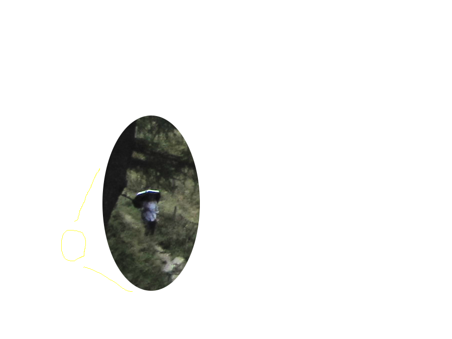 Standaardfoto: versie bewolkt met vrouw met plu. Het was droog en ze droeg ook nog een hoed en ze vroeg of ik geiten gezien had. Denk dat het een heks was.