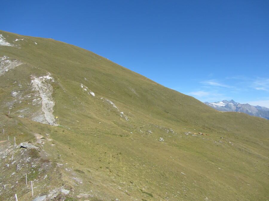 Vanaf de achterkant is de Berger Kogel een groot grasveld, met de Gro&szlig; Glockner op de achtergrond