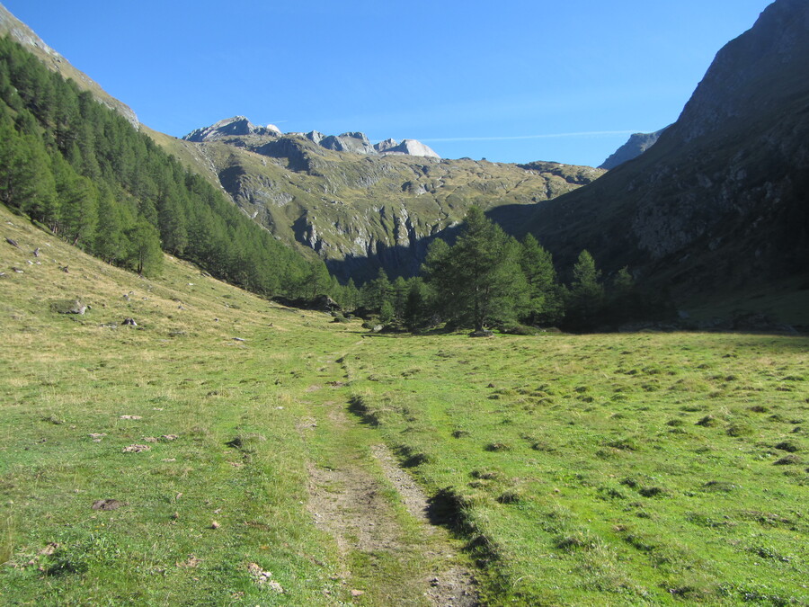 Na de Au&szlig;ere Steiner Alm was de hut mooi zichtbaar op de rand