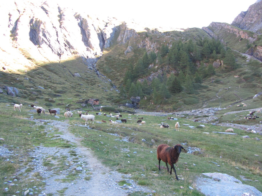 400 jaar geleden werd hier ijzererts gedolven dus het hutje is eigenlijk de Hoogovens van Osttirol. En er liep iemand met een heeeeele lange rode arm.