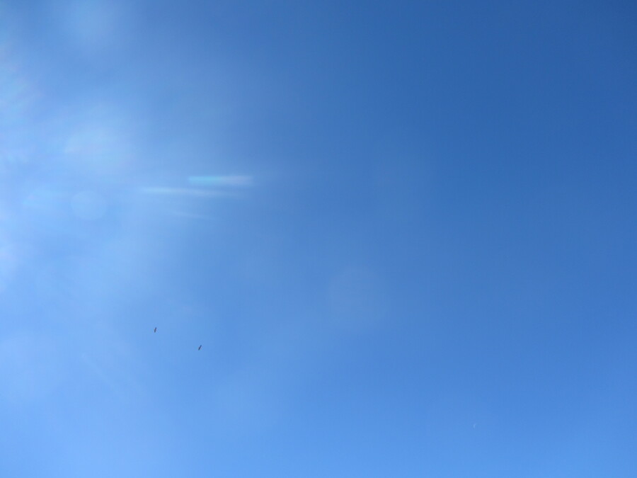 Twee stuks en de maan