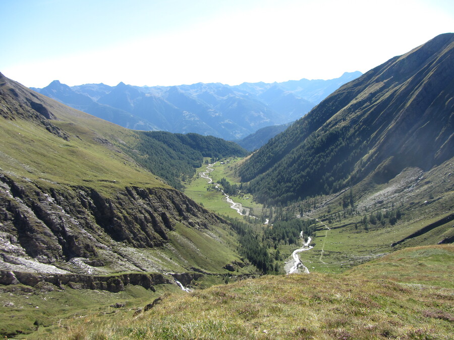 Weer terug in het gras. Au&szlig;ere Steiner Alm plus dal in de namiddagzon