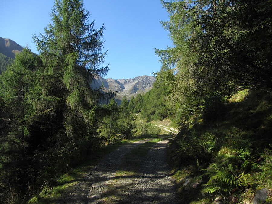 De weg naar de hut was lang en nogal saai, met de Hofspitze als dalafsluiter