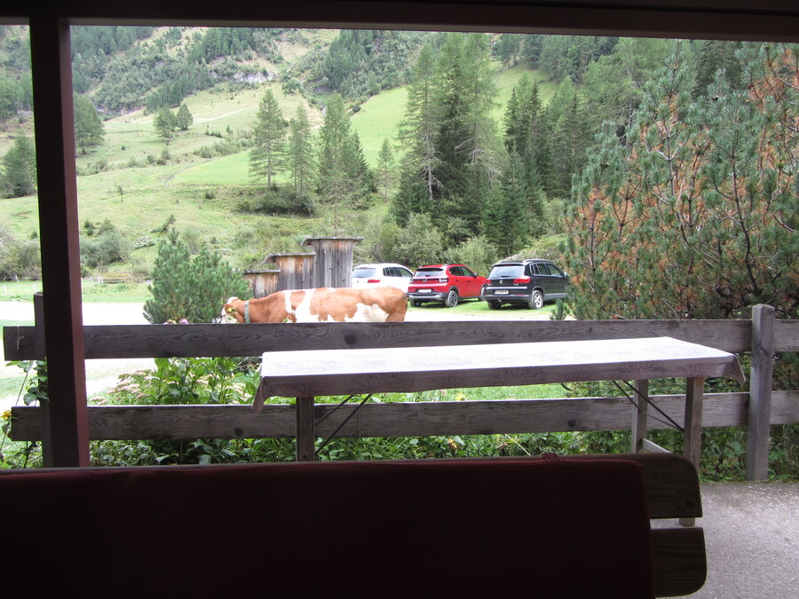 Eten op de Islitzeralm en dan komen eind van de dag de koeien langs