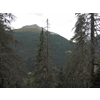 Door de bossen eens wat andere bergen