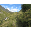 De Erlsbacher Alm net boven de boomgrens had groen als themakleur