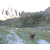 400 jaar geleden werd hier ijzererts gedolven dus het hutje is eigenlijk de Hoogovens van Osttirol. En er liep iemand met een heeeeele lange rode arm.