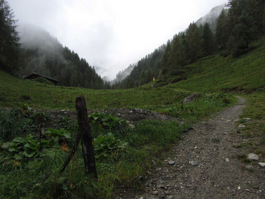 Bij het hutje aan het einde van de bosweg. Rechtuit Kleinbachtal, rechtsaf Großbachtal