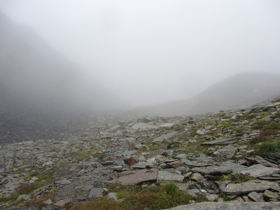 De route was vooral markeringen volgen