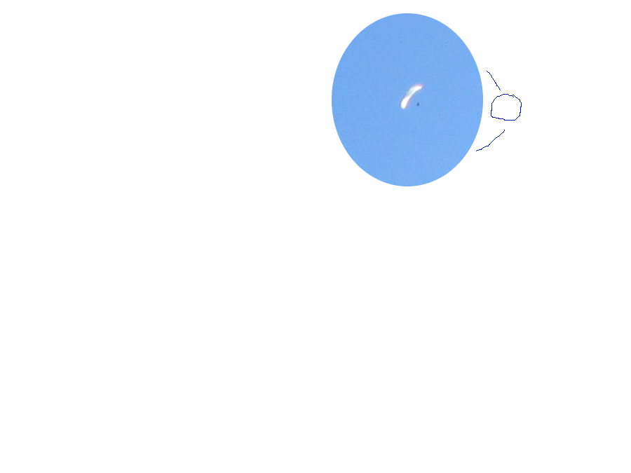 Hele vroege paraglider