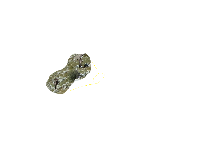 Er waren jagers op wolvenjacht (beweerden ze) maar ze hadden alleen maar twee Murmeltiere geschoten