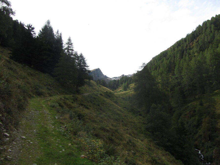 Door het Arnitztal