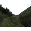 Door het Arnitztal
